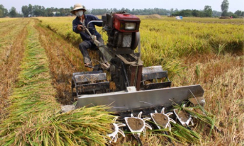 Đồng Nai coi trọng phát triển nông nghiệp, nông thôn